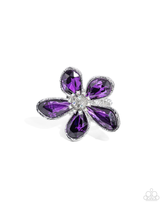 Daily Drama - Purple