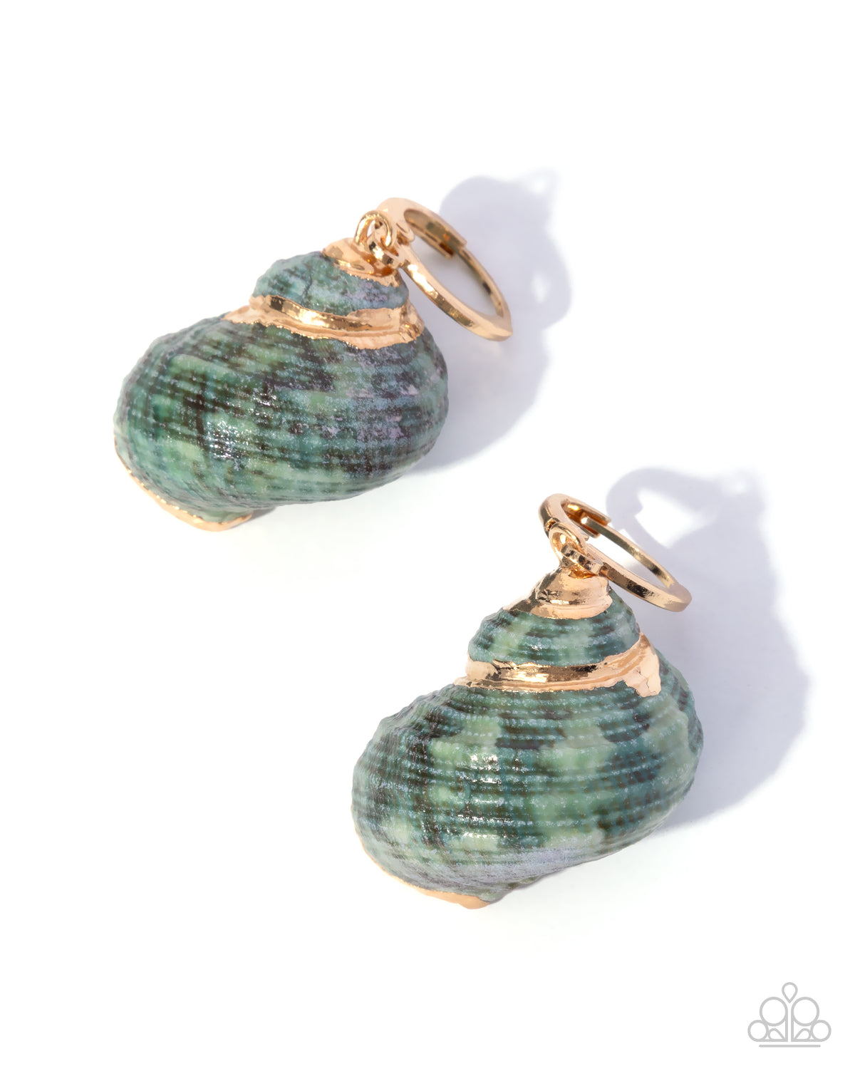 Seashell Spotlight